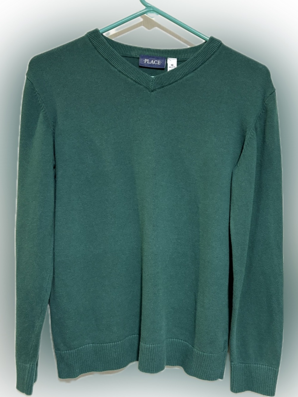 The Children's Place Dark Green V-Neck Sweater Size XXL